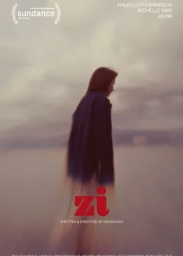 Цзы 2026